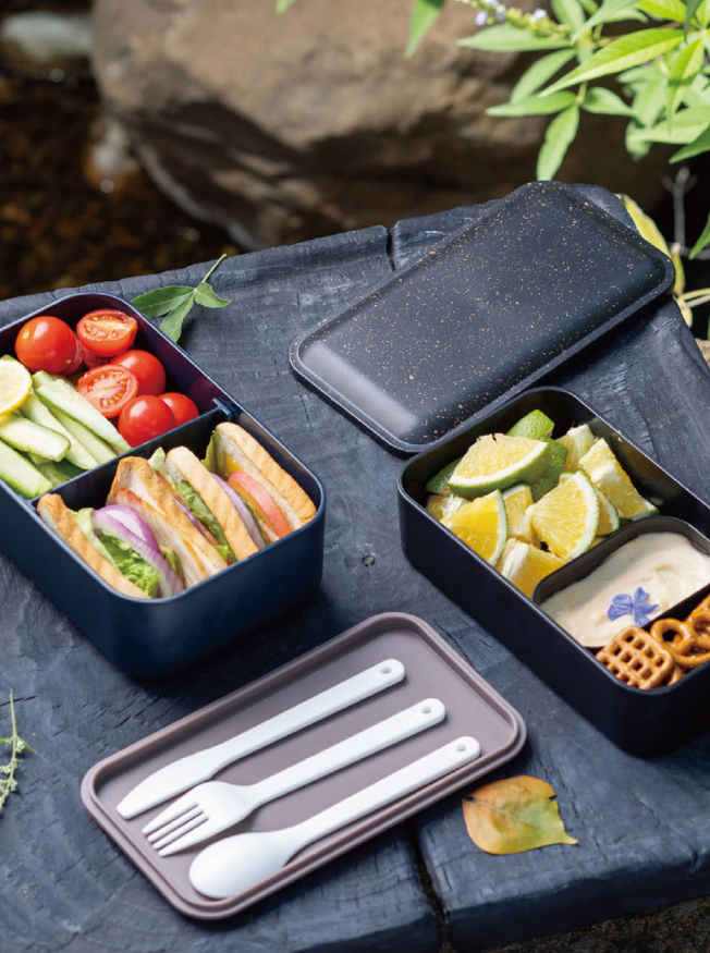 LIFESTYLE PATTERN LUNCH BOX