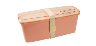 LAPANESE LUNCH BENTO BOX WITH BAND