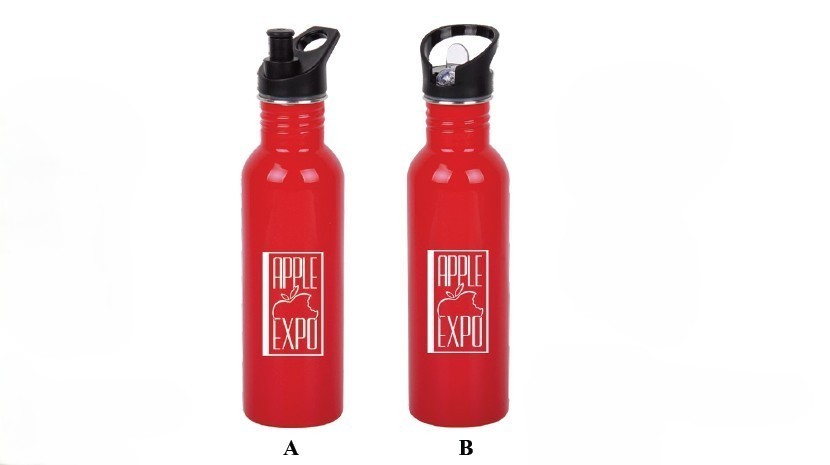 STAINLESS STEEL BOTTLE