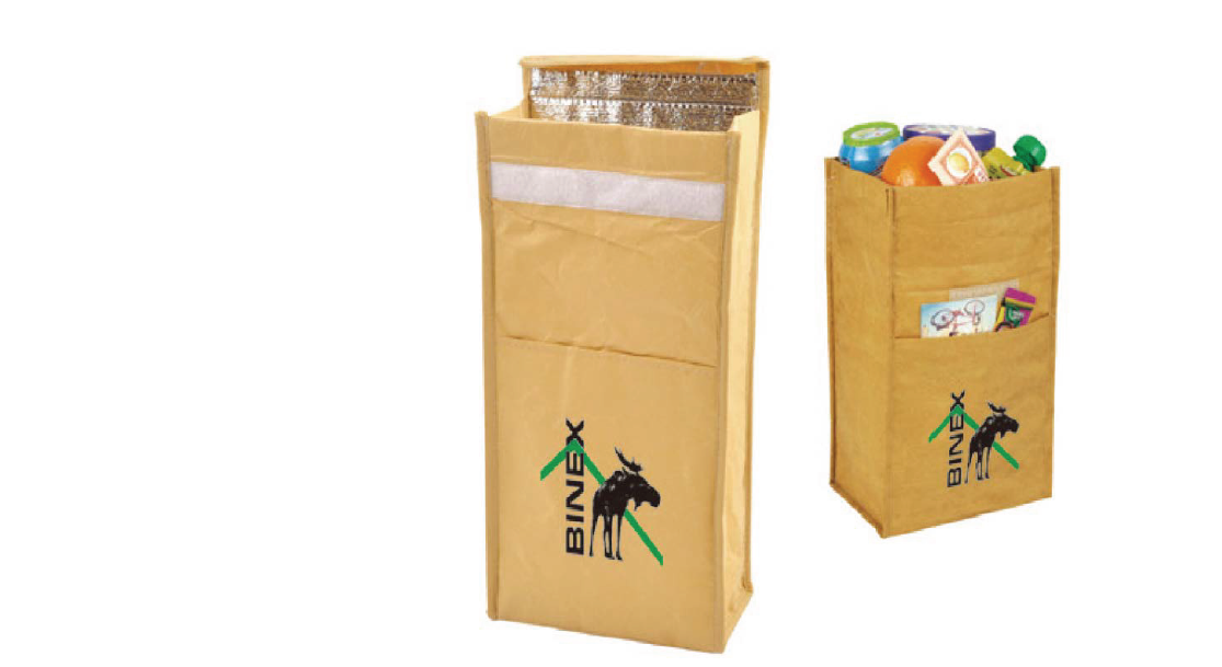 PAPER COOLER BAG