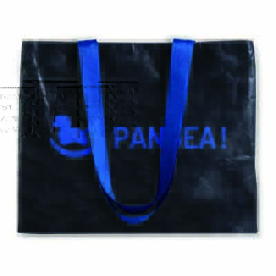 Recycle Bag