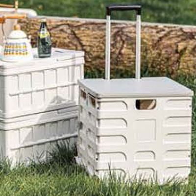 Picnic Box